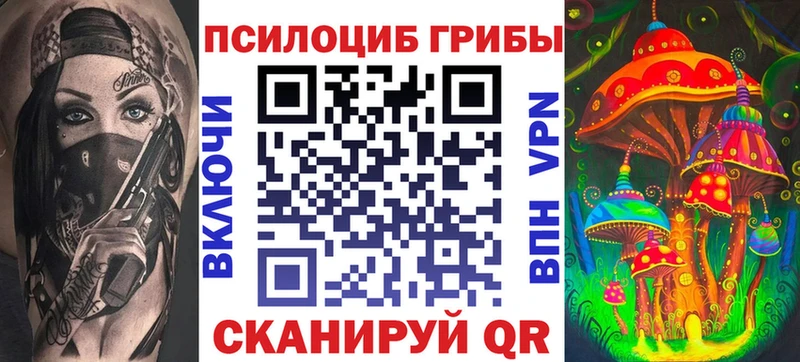 купить наркоту  Морозовск  блэк спрут ССЫЛКА  Галлюциногенные грибы Magic Shrooms 