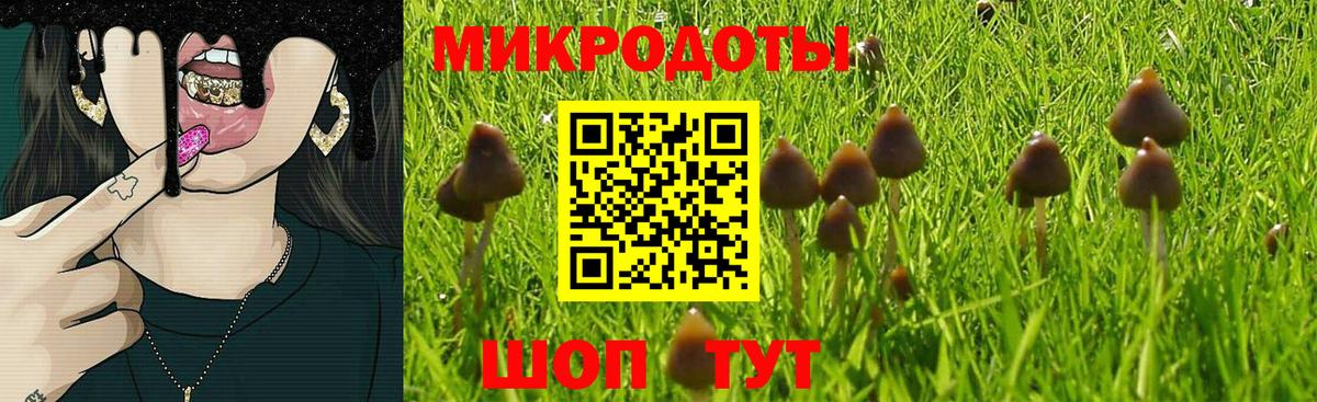 Псилоцибиновые грибы ЛСД Морозовск