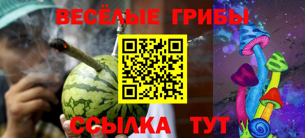 Морозовск  Псилоцибиновые грибы ЛСД  Псилоцибиновые грибы мицелий  Вход с VPN 